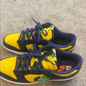 Nike Michigan Dunks Low